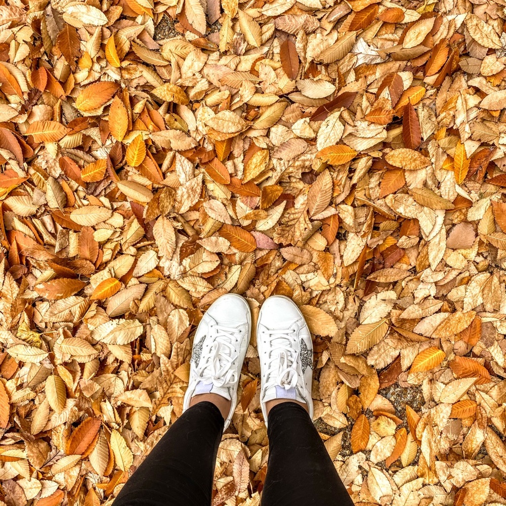 Fall